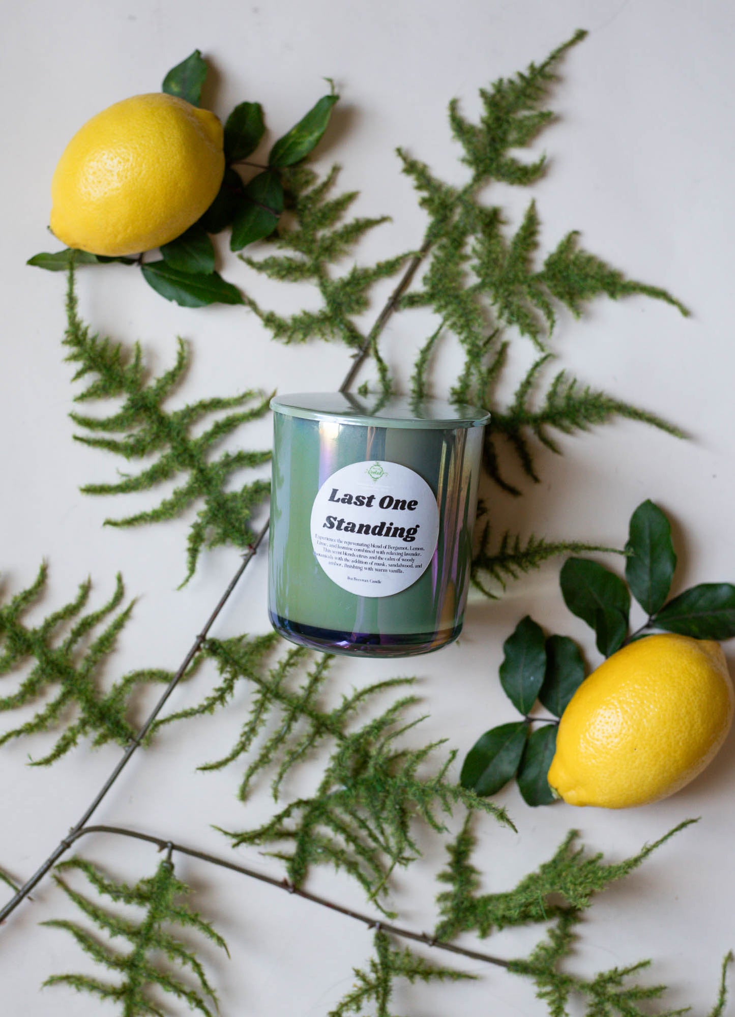 3.5 oz Last One Standing Beeswax Candle