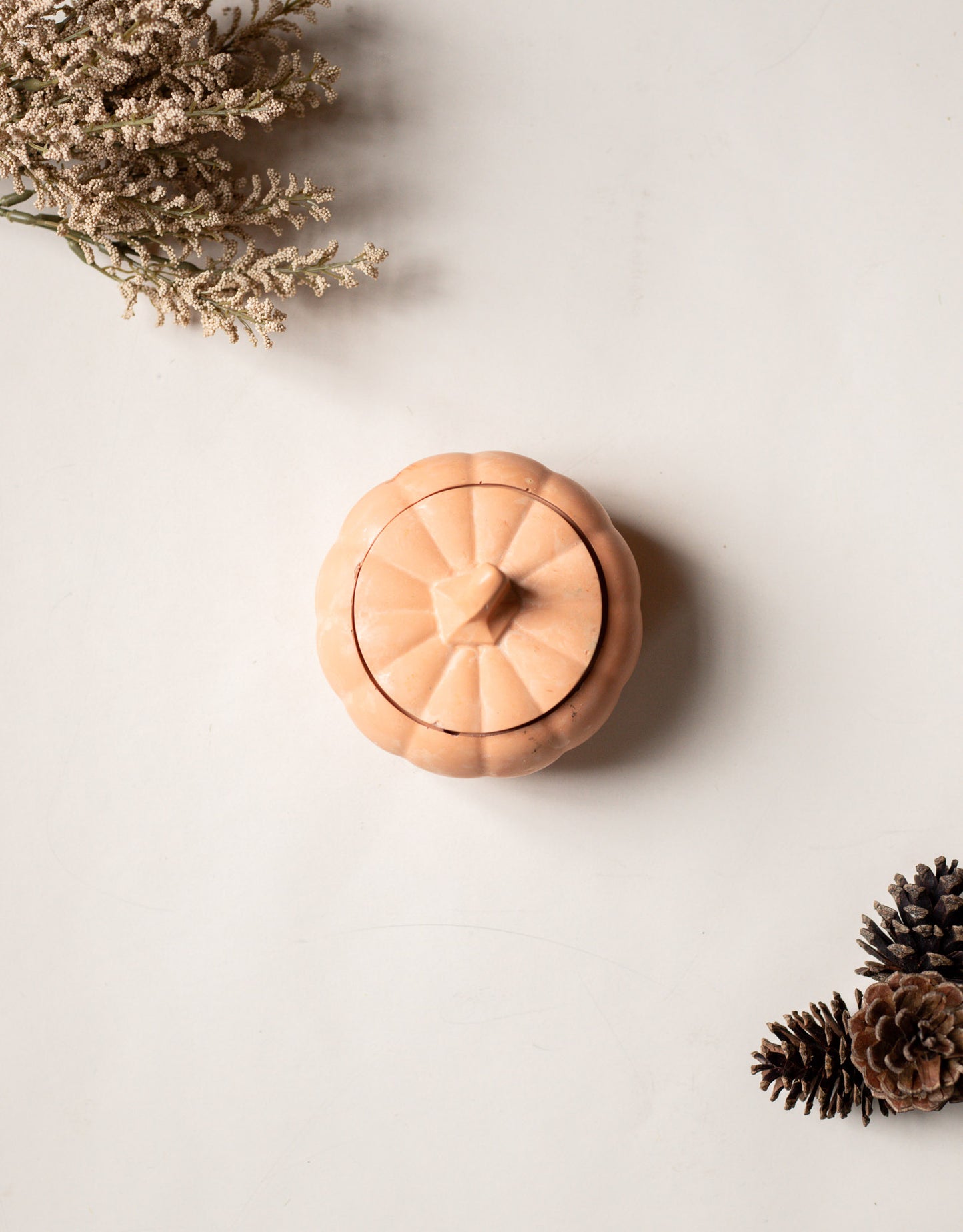 Pumpkin Spice & Everything Nice 5oz Decorative Pumpkin Candle