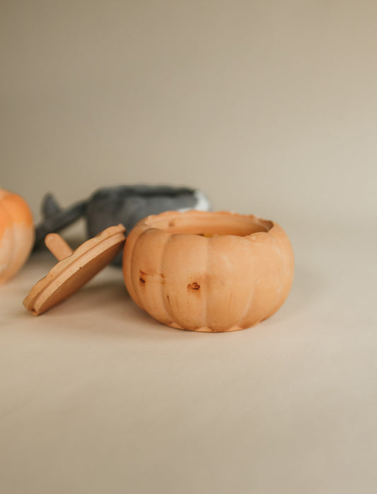 Pumpkin Spice & Everything Nice 5oz Decorative Pumpkin Candle