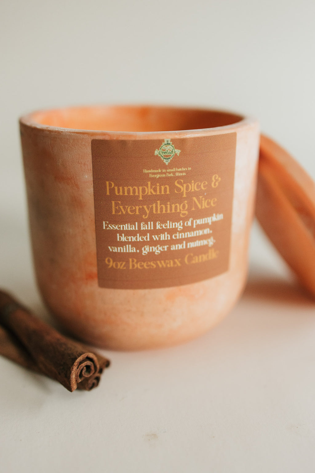 9oz Pumpkin Spice & Everything Nice Candle
